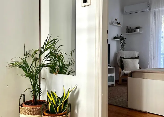 Central Comfort Guesthouse